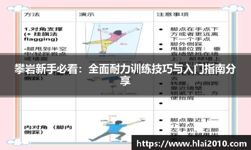 攀岩新手必看：全面耐力训练技巧与入门指南分享