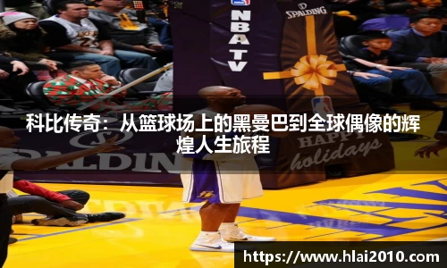 万向娱乐