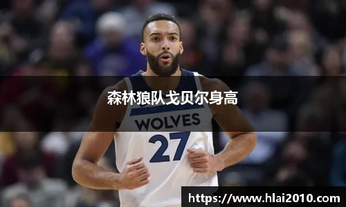 森林狼队戈贝尔身高