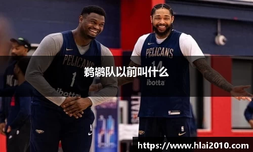 鹈鹕队以前叫什么