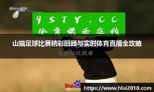 山猫足球比赛精彩回顾与实时体育直播全攻略