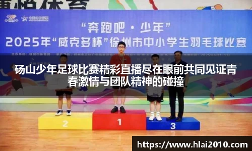 砀山少年足球比赛精彩直播尽在眼前共同见证青春激情与团队精神的碰撞