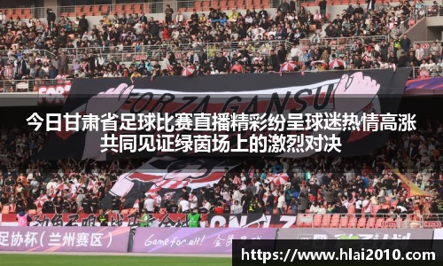 今日甘肃省足球比赛直播精彩纷呈球迷热情高涨共同见证绿茵场上的激烈对决