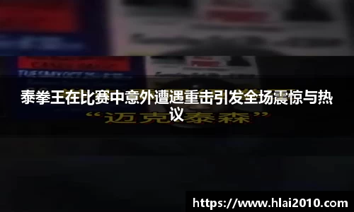 万向娱乐