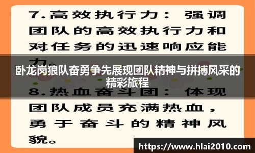 卧龙岗狼队奋勇争先展现团队精神与拼搏风采的精彩旅程