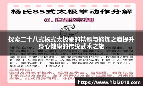 探索二十八式杨式太极拳的精髓与修炼之道提升身心健康的传统武术之旅